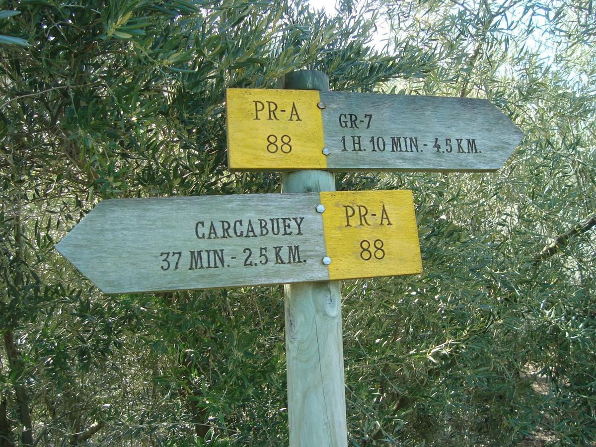 Casilla Dalea En Carcabuey, Descubre El Interior De Andalucia 빌라 외부 사진