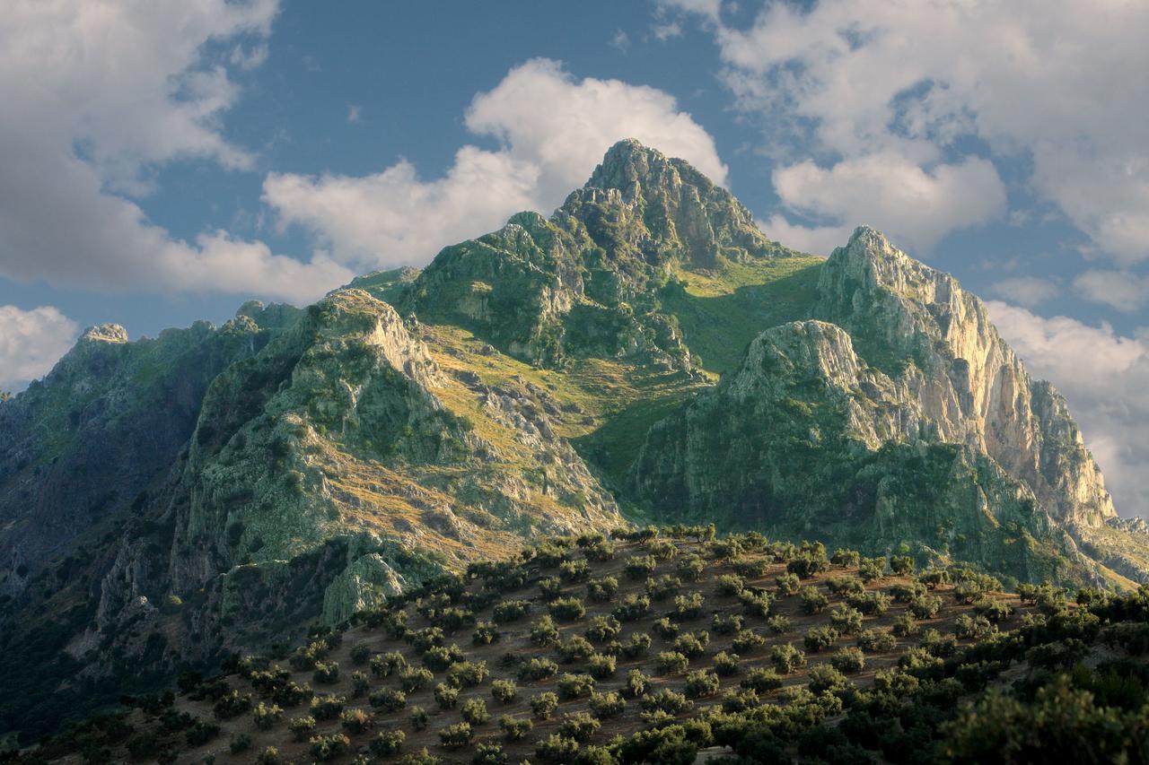 Casilla Dalea En Carcabuey, Descubre El Interior De Andalucia 빌라 외부 사진