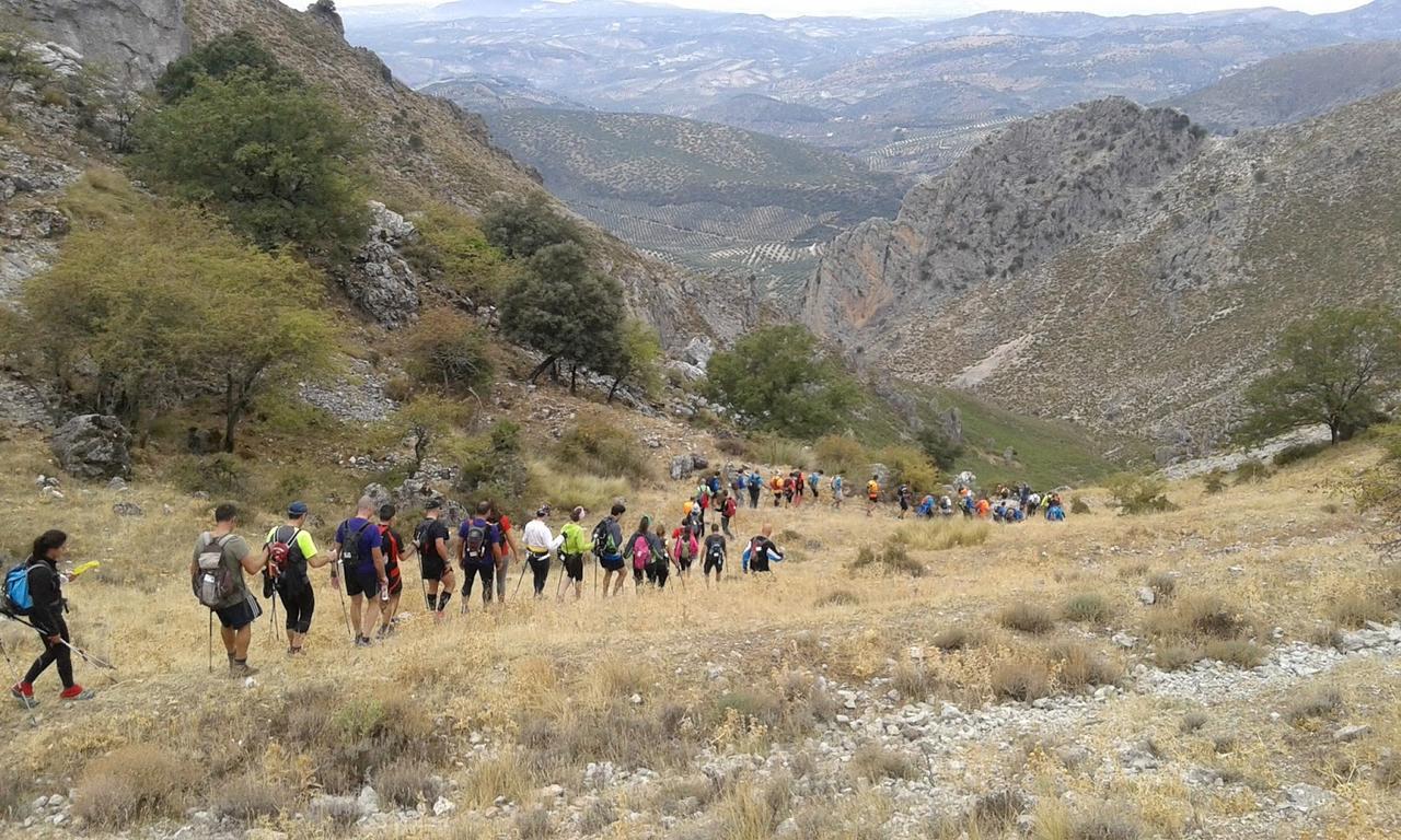 Casilla Dalea En Carcabuey, Descubre El Interior De Andalucia 빌라 외부 사진